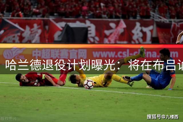 哈兰德退役计划曝光：将在布吕讷经营小型农场