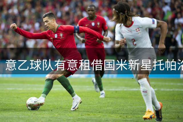 意乙球队有意租借国米新星托帕洛维奇