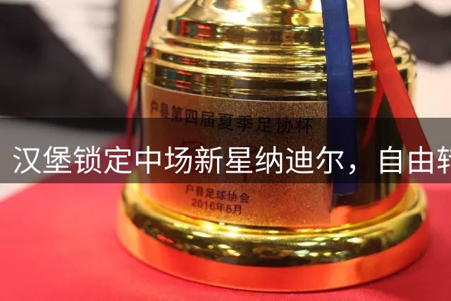 汉堡锁定中场新星纳迪尔，自由转会签约五年